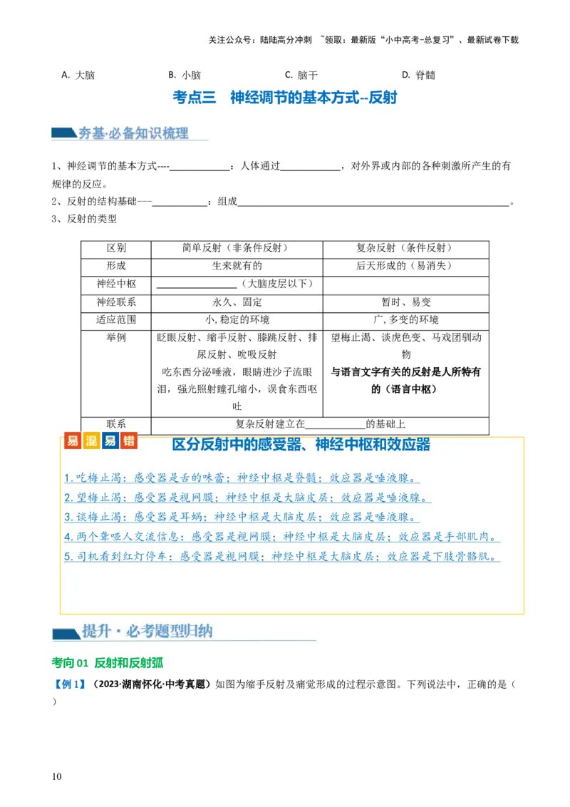 专题14人体生命活动的调节（讲义）（原卷版）_02中考总复习（2026版更新中）_08-生物-中考总复习_2024年中考复习资料_一轮复习_❤2024年中考生物一轮复习讲练测（全国通用）_讲义