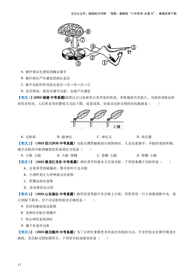 专题14人体生命活动的调节（讲义）（原卷版）_02中考总复习（2026版更新中）_08-生物-中考总复习_2024年中考复习资料_一轮复习_❤2024年中考生物一轮复习讲练测（全国通用）_讲义