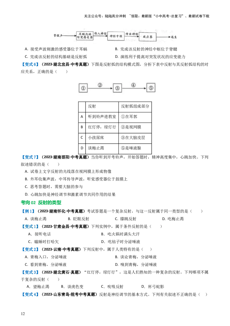 专题14人体生命活动的调节（讲义）（原卷版）_02中考总复习（2026版更新中）_08-生物-中考总复习_2024年中考复习资料_一轮复习_❤2024年中考生物一轮复习讲练测（全国通用）_讲义