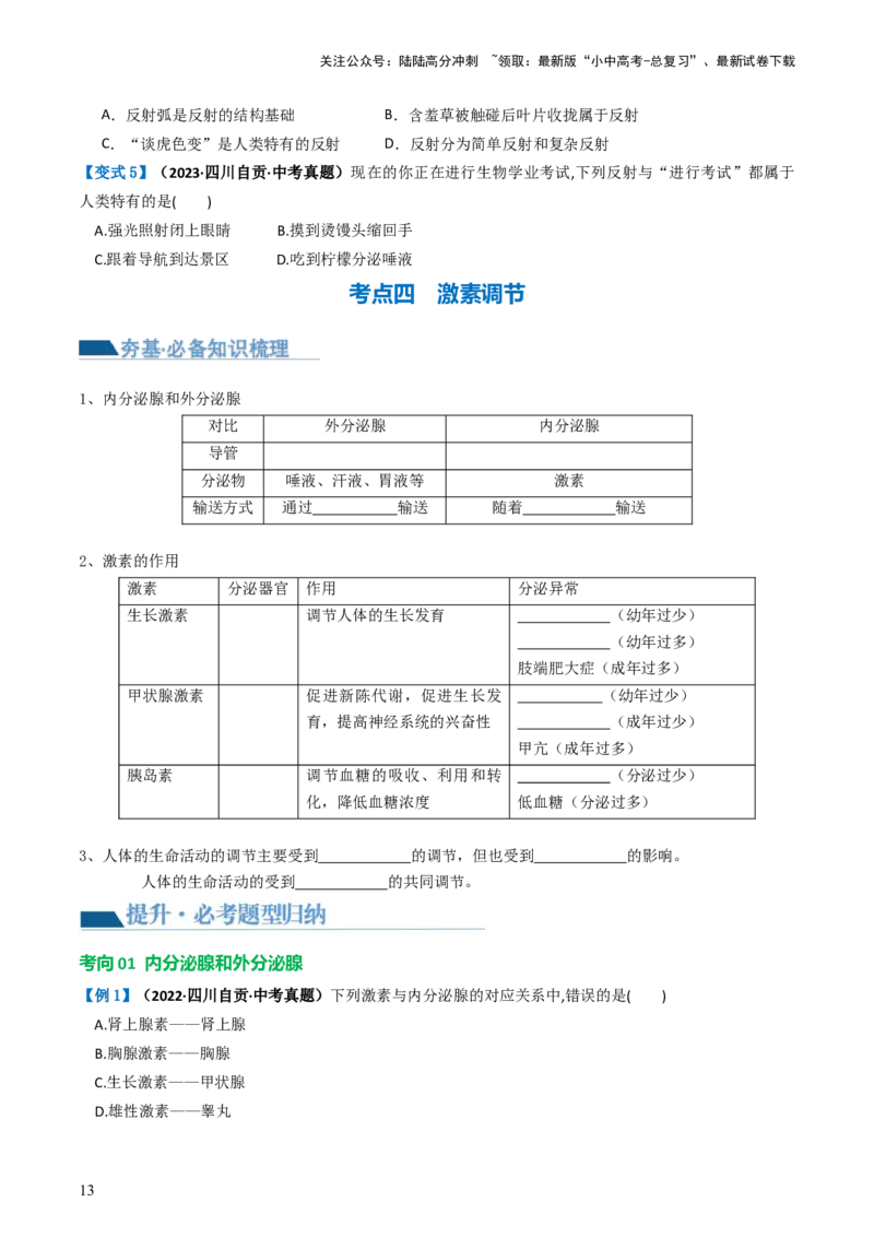 专题14人体生命活动的调节（讲义）（原卷版）_02中考总复习（2026版更新中）_08-生物-中考总复习_2024年中考复习资料_一轮复习_❤2024年中考生物一轮复习讲练测（全国通用）_讲义