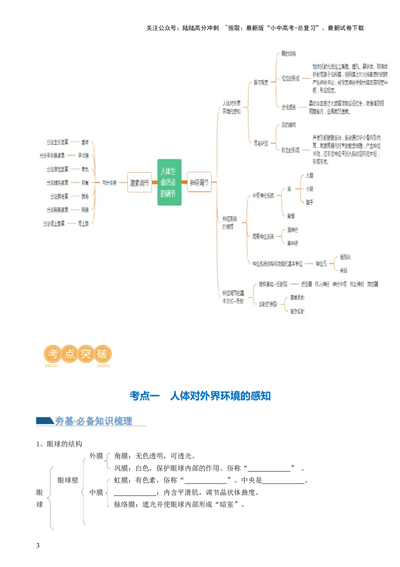 专题14人体生命活动的调节（讲义）（原卷版）_02中考总复习（2026版更新中）_08-生物-中考总复习_2024年中考复习资料_一轮复习_❤2024年中考生物一轮复习讲练测（全国通用）_讲义