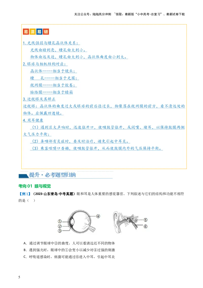 专题14人体生命活动的调节（讲义）（原卷版）_02中考总复习（2026版更新中）_08-生物-中考总复习_2024年中考复习资料_一轮复习_❤2024年中考生物一轮复习讲练测（全国通用）_讲义