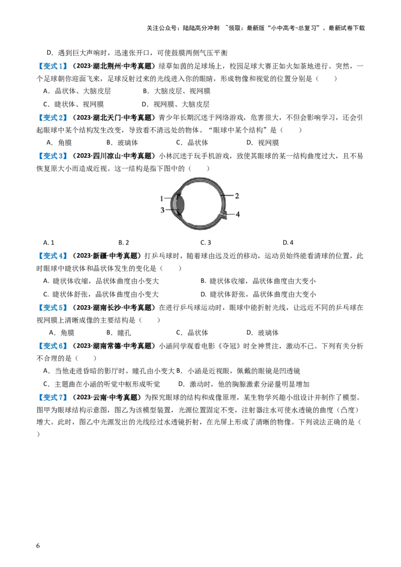 专题14人体生命活动的调节（讲义）（原卷版）_02中考总复习（2026版更新中）_08-生物-中考总复习_2024年中考复习资料_一轮复习_❤2024年中考生物一轮复习讲练测（全国通用）_讲义