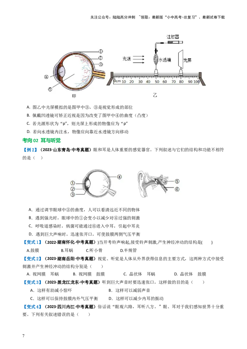 专题14人体生命活动的调节（讲义）（原卷版）_02中考总复习（2026版更新中）_08-生物-中考总复习_2024年中考复习资料_一轮复习_❤2024年中考生物一轮复习讲练测（全国通用）_讲义