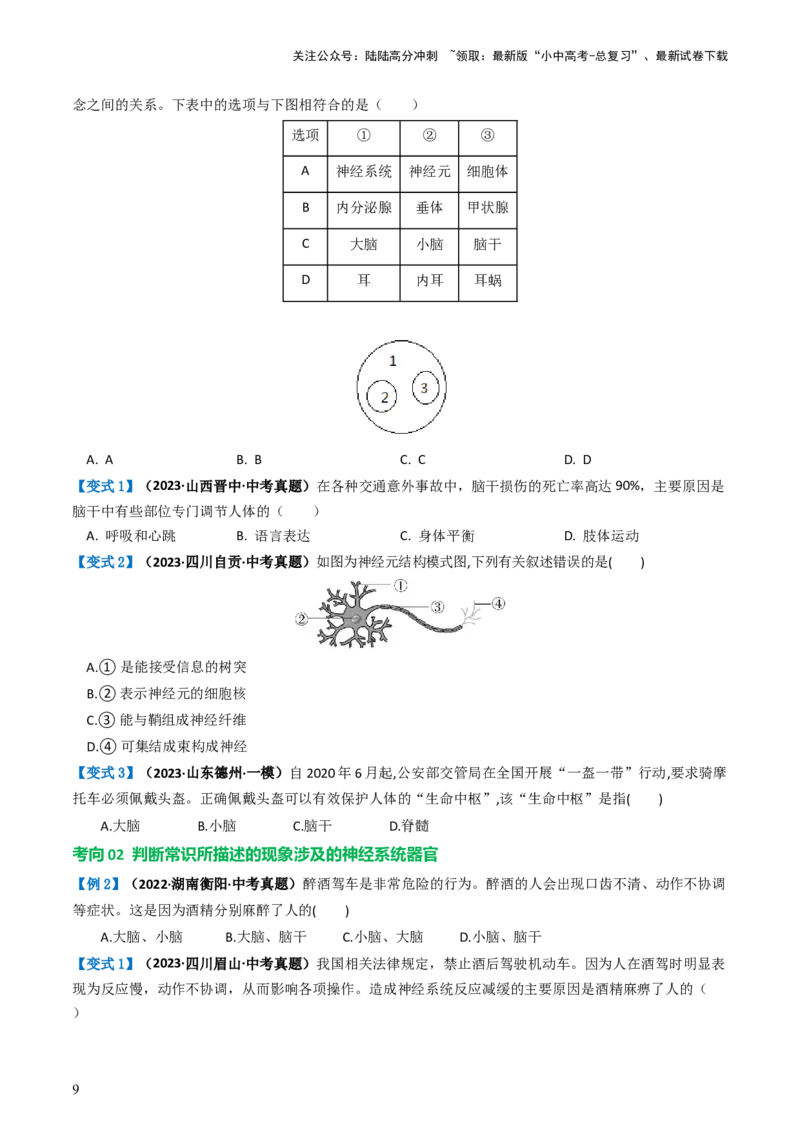 专题14人体生命活动的调节（讲义）（原卷版）_02中考总复习（2026版更新中）_08-生物-中考总复习_2024年中考复习资料_一轮复习_❤2024年中考生物一轮复习讲练测（全国通用）_讲义