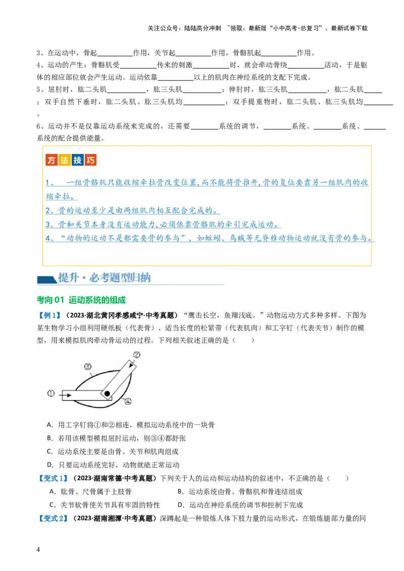 专题17动物的运动和行为、动物在生物圈中的作用（讲义）（原卷版）_02中考总复习（2026版更新中）_08-生物-中考总复习_2024年中考复习资料_一轮复习_讲义