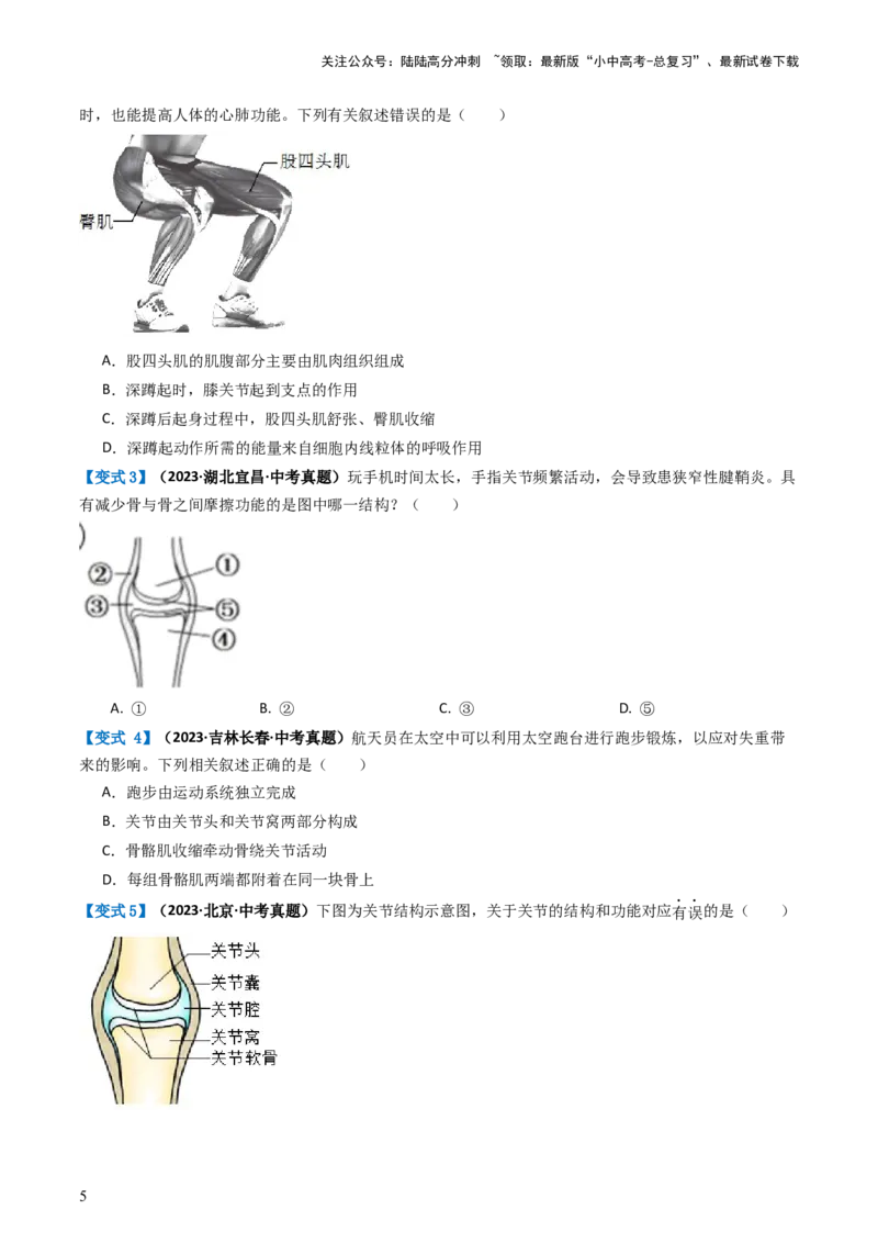 专题17动物的运动和行为、动物在生物圈中的作用（讲义）（原卷版）_02中考总复习（2026版更新中）_08-生物-中考总复习_2024年中考复习资料_一轮复习_讲义