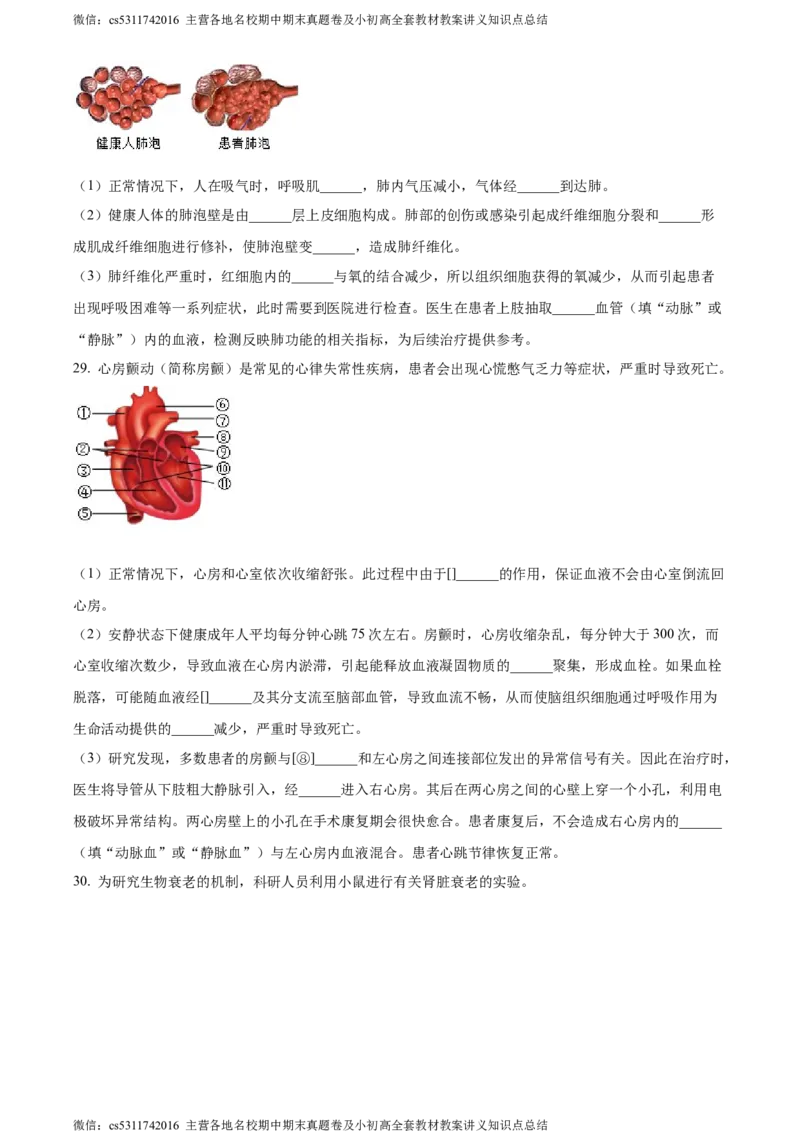 精品解析：北京市东城区2022-2023学年七年级下学期期末生物试题（原卷版）(1)_北京初中期末题_C605-京七八九_B京生物七八九_北京7下生物_2022-2024_北京生物7下期末