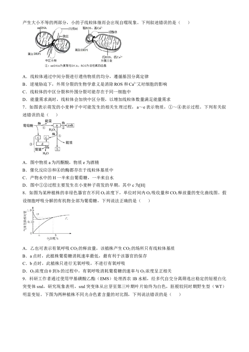 安徽省合肥市第一中学2024-2025学年高三上学期11月教学质量检测试题生物Word版含答案_A1502026各地模拟卷（超值！）_11月