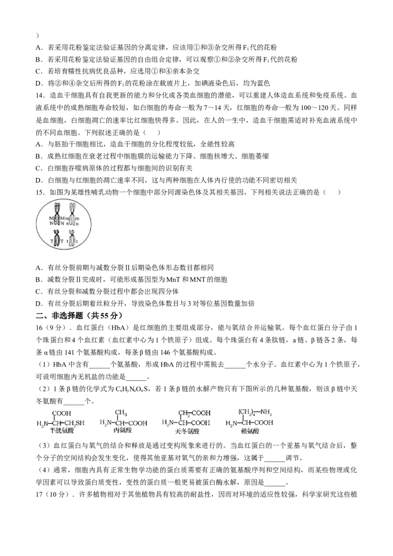 安徽省合肥市第一中学2024-2025学年高三上学期11月教学质量检测试题生物Word版含答案_A1502026各地模拟卷（超值！）_11月