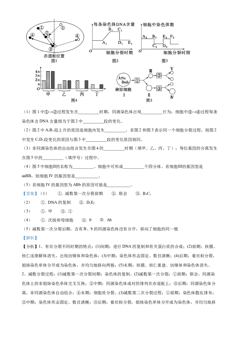 四川省成都市成华区成都列五中学2024-2025学年高三上学期9月月考生物试题Word版含解析_A1502026各地模拟卷（超值！）_10月_241008四川省成都列五中学2024-2025学年高三上学期9月月考