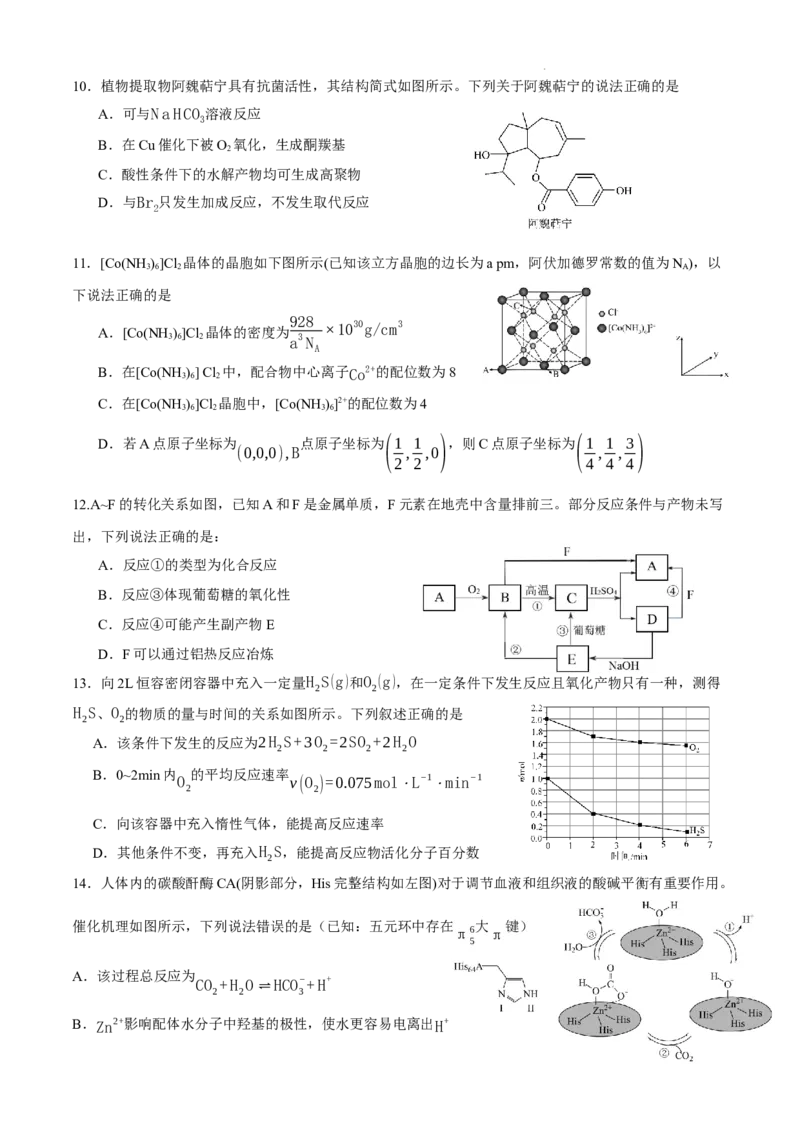 四川省成都市石室中学2024-2025学年高三上学期10月月考化学试题_A1502026各地模拟卷（超值！）_10月_241013四川省成都市石室中学2024-2025学年高三上学期10月月考