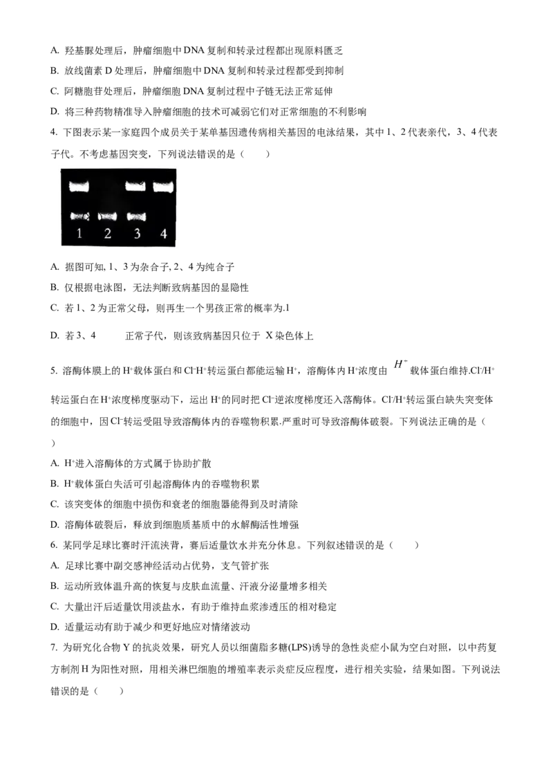 2025届湖南省益阳市一模生物试题Word版无答案_A1502026各地模拟卷（超值！）_9月_240909湖南省益阳市2024-2025学年高三上学期9月第一次教学质量检测