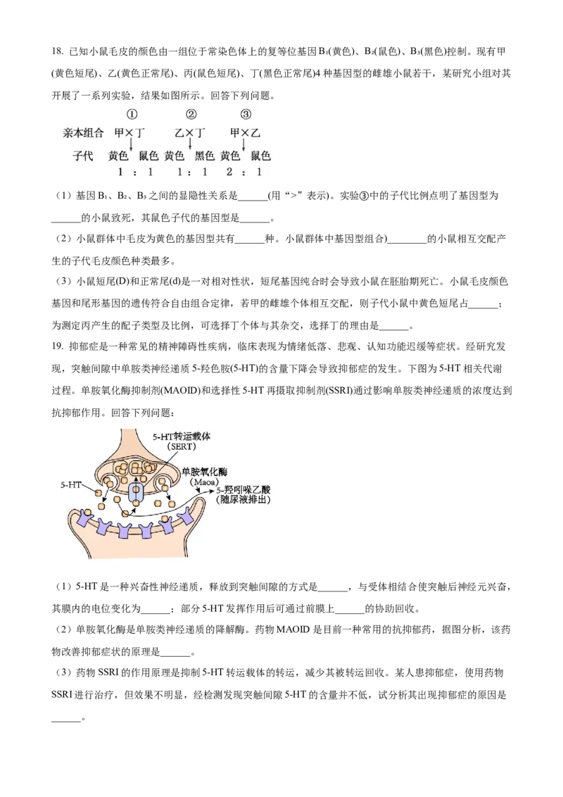 2025届湖南省益阳市一模生物试题Word版无答案_A1502026各地模拟卷（超值！）_9月_240909湖南省益阳市2024-2025学年高三上学期9月第一次教学质量检测