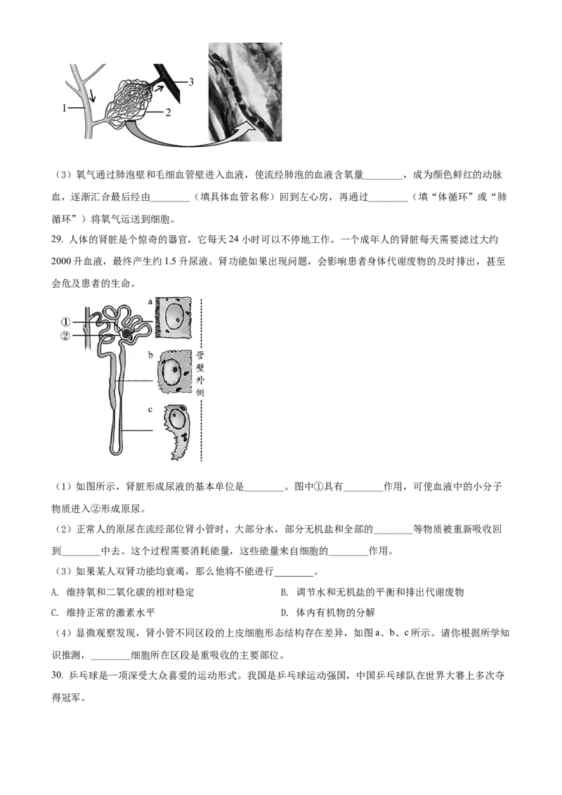 精品解析：北京市平谷区2021-2022学年七年级下学期期末生物试题（原卷版）(1)_北京初中期末题_C605-京七八九_B京生物七八九_北京7下生物_2021-2022