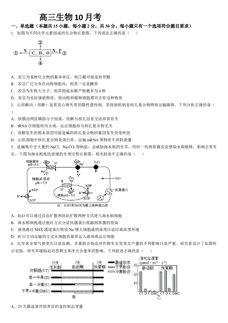 吉林省通化市梅河口市第五中学2024-2025学年高三上学期10月月考试题生物Word版含答案_A1502026各地模拟卷（超值！）_10月