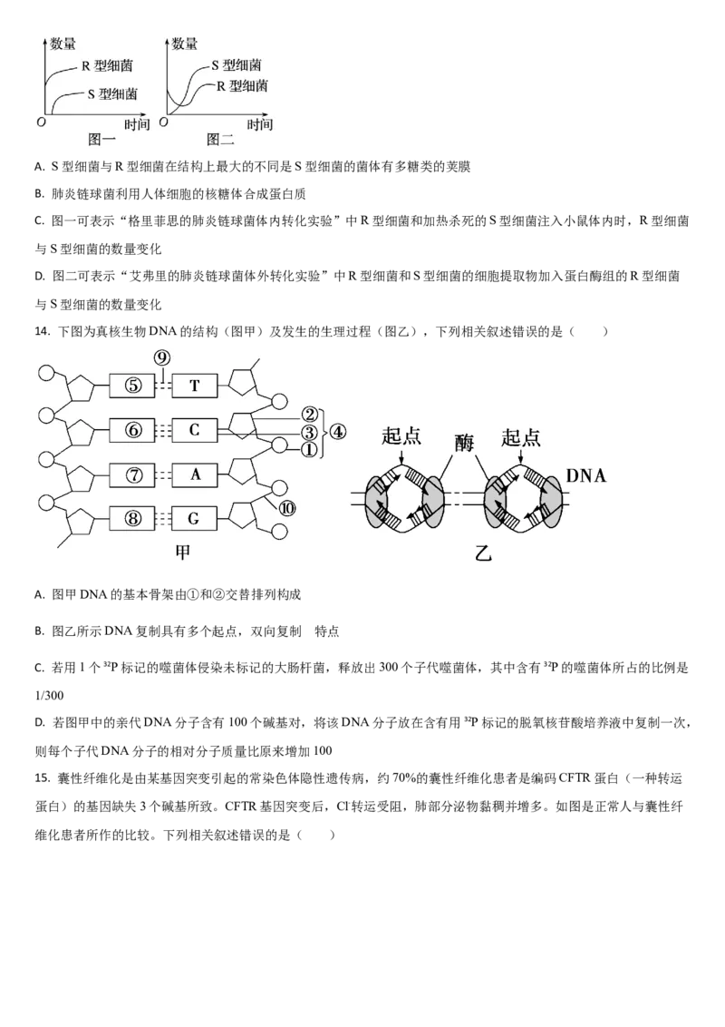 吉林省通化市梅河口市第五中学2024-2025学年高三上学期10月月考试题生物Word版含答案_A1502026各地模拟卷（超值！）_10月