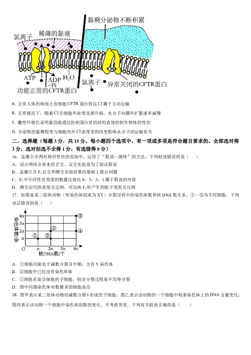 吉林省通化市梅河口市第五中学2024-2025学年高三上学期10月月考试题生物Word版含答案_A1502026各地模拟卷（超值！）_10月