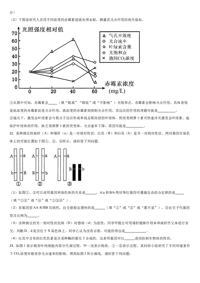 吉林省通化市梅河口市第五中学2024-2025学年高三上学期10月月考试题生物Word版含答案_A1502026各地模拟卷（超值！）_10月