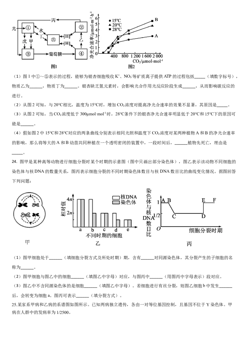吉林省通化市梅河口市第五中学2024-2025学年高三上学期10月月考试题生物Word版含答案_A1502026各地模拟卷（超值！）_10月