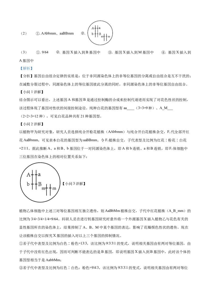 山东省济南第一中学2024-2025学年高三上学期期中学情检测试题生物答案_A1502026各地模拟卷（超值！）_12月_241204山东省济南第一中学2024-2025学年高三上学期期中学情检测（全科）