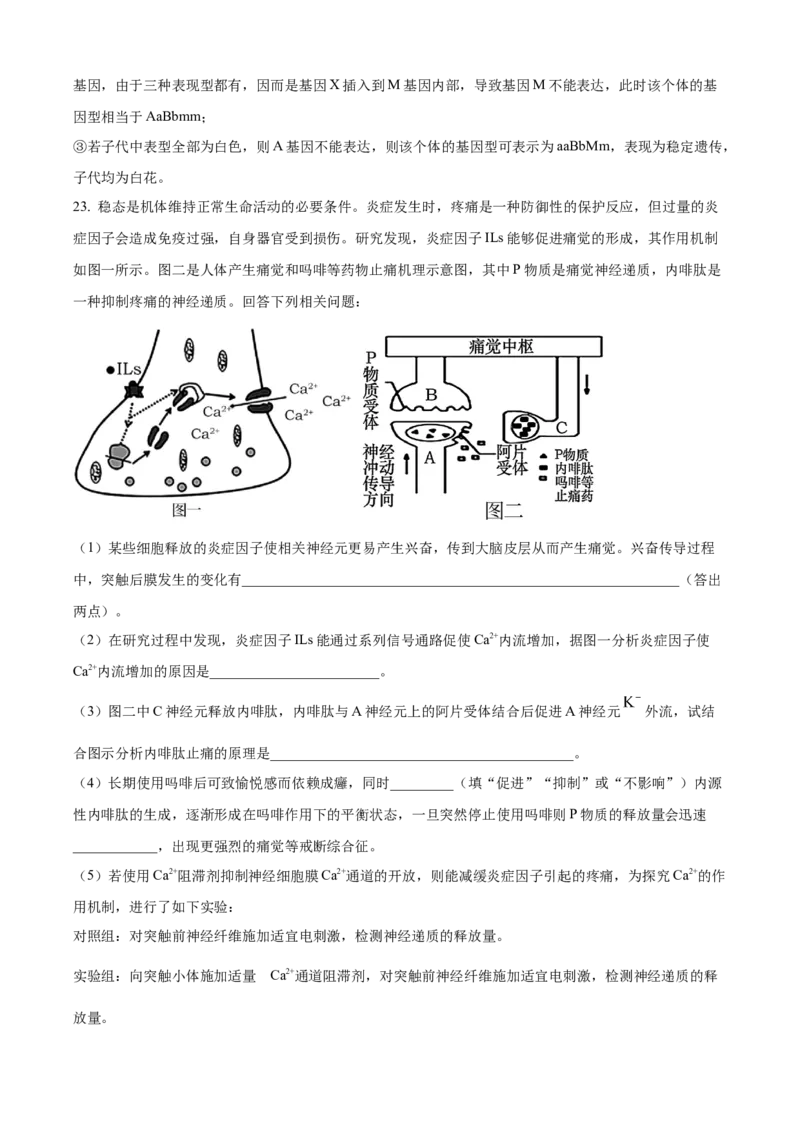 山东省济南第一中学2024-2025学年高三上学期期中学情检测试题生物答案_A1502026各地模拟卷（超值！）_12月_241204山东省济南第一中学2024-2025学年高三上学期期中学情检测（全科）