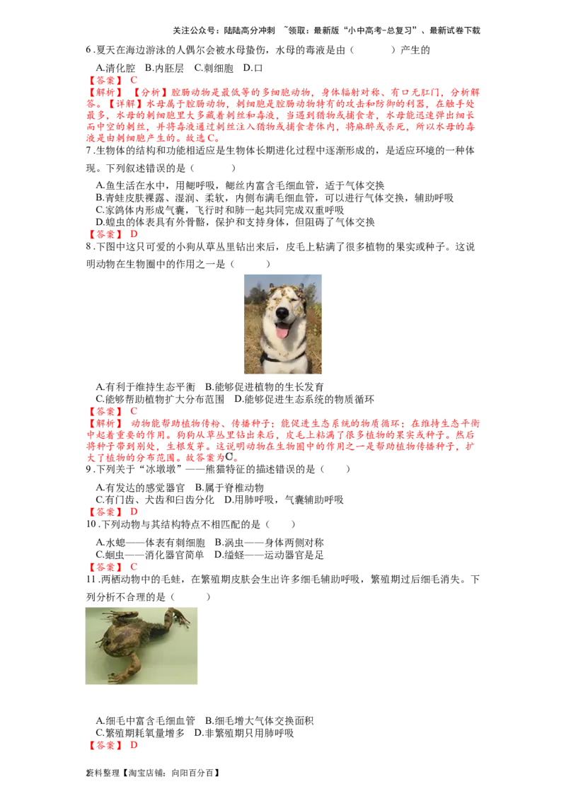 专题20动物的主要类群（解析版）_02中考总复习（2026版更新中）_08-生物-中考总复习_2024年中考复习资料_一轮复习_配套练习_教师版（含答案解析）