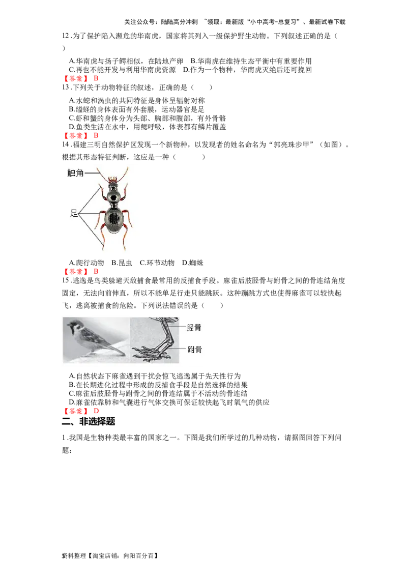 专题20动物的主要类群（解析版）_02中考总复习（2026版更新中）_08-生物-中考总复习_2024年中考复习资料_一轮复习_配套练习_教师版（含答案解析）