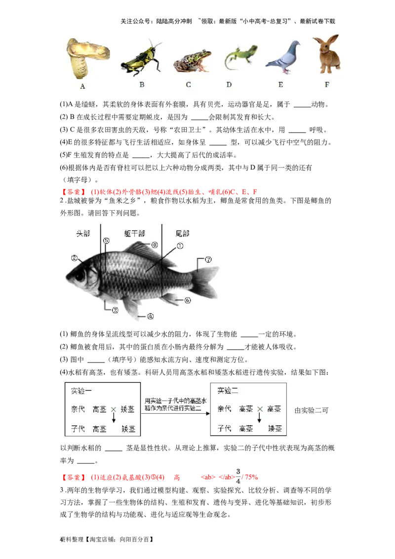 专题20动物的主要类群（解析版）_02中考总复习（2026版更新中）_08-生物-中考总复习_2024年中考复习资料_一轮复习_配套练习_教师版（含答案解析）