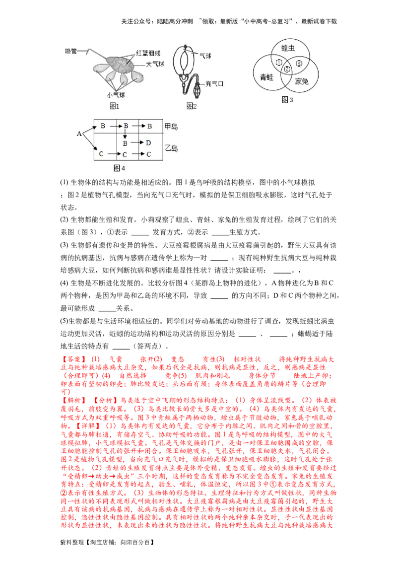 专题20动物的主要类群（解析版）_02中考总复习（2026版更新中）_08-生物-中考总复习_2024年中考复习资料_一轮复习_配套练习_教师版（含答案解析）
