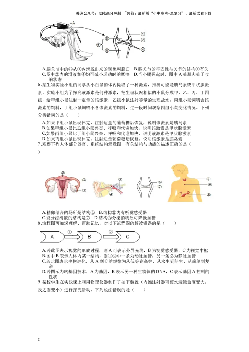 专题17人体生命活动调节（原卷版）_02中考总复习（2026版更新中）_08-生物-中考总复习_2024年中考复习资料_一轮复习_配套练习