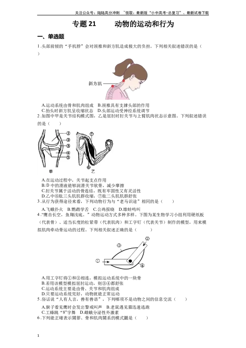 专题21动物的运动和行为（原卷版）_02中考总复习（2026版更新中）_08-生物-中考总复习_2024年中考复习资料_一轮复习_配套练习