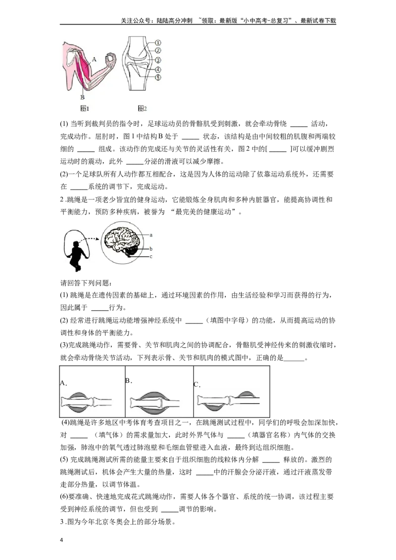 专题21动物的运动和行为（原卷版）_02中考总复习（2026版更新中）_08-生物-中考总复习_2024年中考复习资料_一轮复习_配套练习