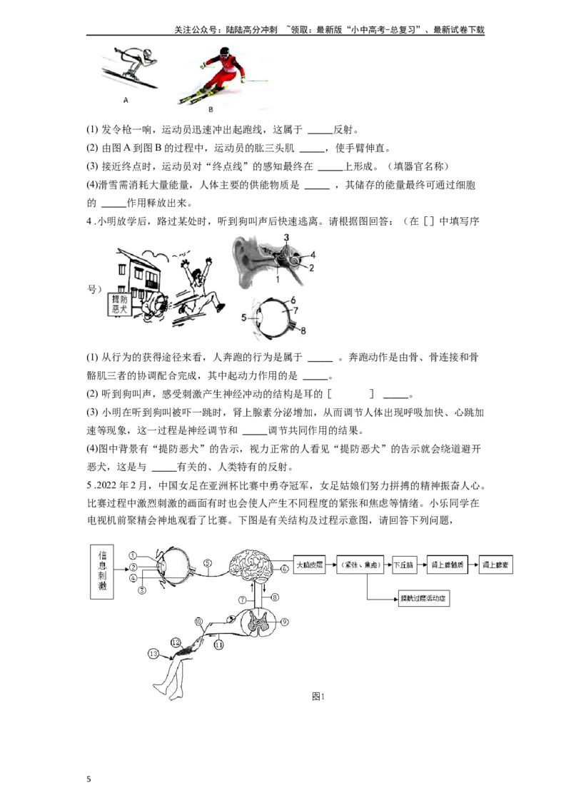 专题21动物的运动和行为（原卷版）_02中考总复习（2026版更新中）_08-生物-中考总复习_2024年中考复习资料_一轮复习_配套练习