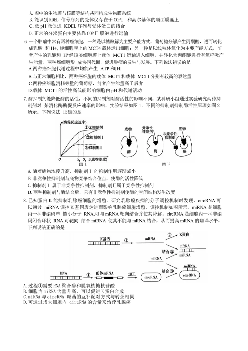 山东省生物试题_A1502026各地模拟卷（超值！）_10月_241012山东省天一大联考&middot;齐鲁名校联盟第二次联考_生物