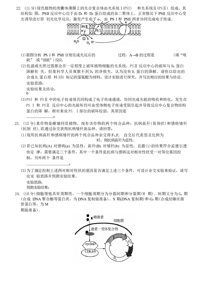 山东省生物试题_A1502026各地模拟卷（超值！）_10月_241012山东省天一大联考&middot;齐鲁名校联盟第二次联考_生物