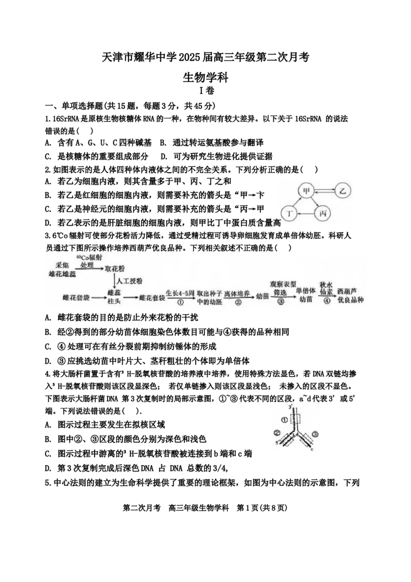 天津市耀华中学2024-2025学年高三上学期第二次月考试题生物Word版含答案_A1502026各地模拟卷（超值！）_12月_241210天津市耀华中学2024-2025学年高三上学期第二次月考