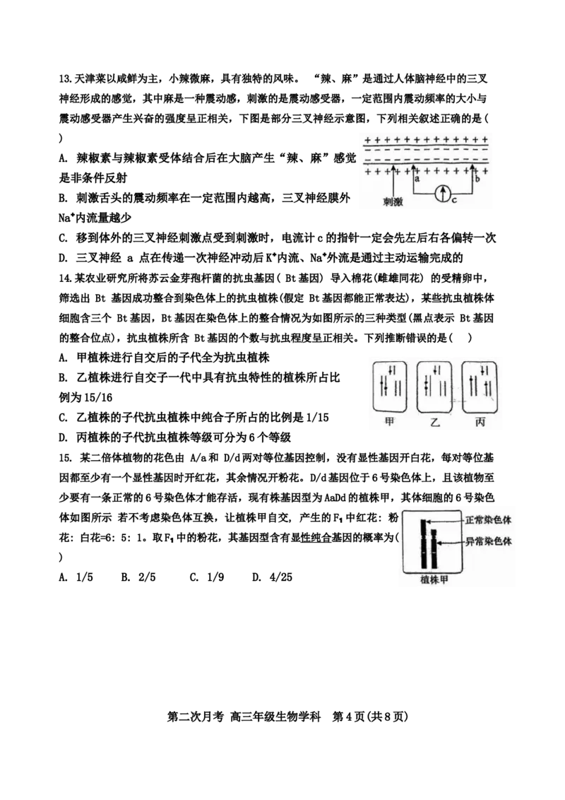 天津市耀华中学2024-2025学年高三上学期第二次月考试题生物Word版含答案_A1502026各地模拟卷（超值！）_12月_241210天津市耀华中学2024-2025学年高三上学期第二次月考