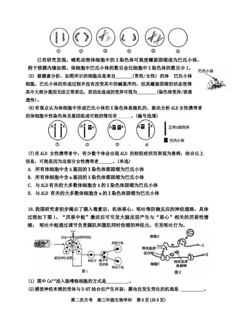 天津市耀华中学2024-2025学年高三上学期第二次月考试题生物Word版含答案_A1502026各地模拟卷（超值！）_12月_241210天津市耀华中学2024-2025学年高三上学期第二次月考