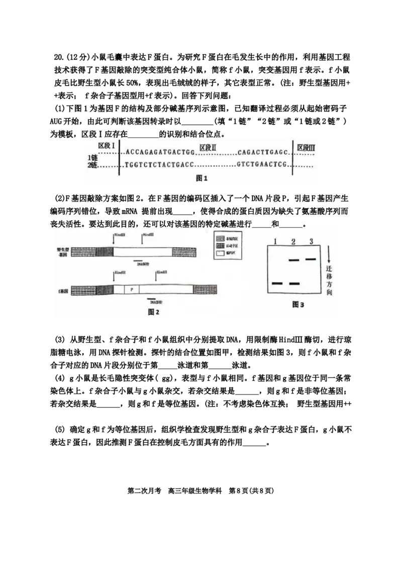 天津市耀华中学2024-2025学年高三上学期第二次月考试题生物Word版含答案_A1502026各地模拟卷（超值！）_12月_241210天津市耀华中学2024-2025学年高三上学期第二次月考