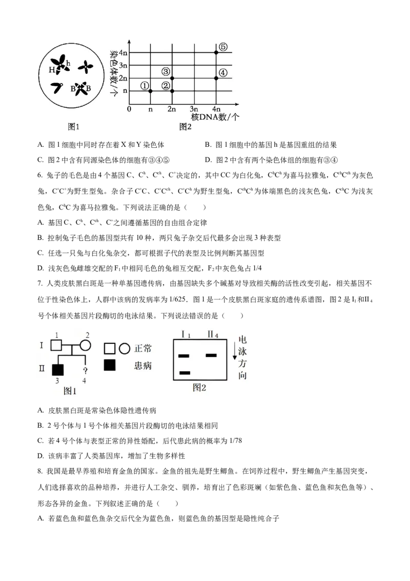 山东省济南第一中学2024-2025学年高三上学期期中学情检测试题生物_A1502026各地模拟卷（超值！）_12月_241204山东省济南第一中学2024-2025学年高三上学期期中学情检测（全科）