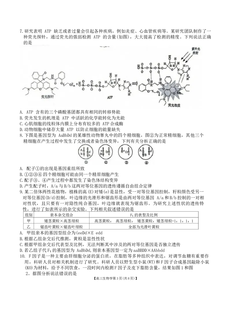 安徽省鼎尖联盟2024-2025学年高三上学期期中考试生物学试题_A1502026各地模拟卷（超值！）_11月_241114安徽省鼎尖教育联盟2025届高三上学期11月期中联考（全科）