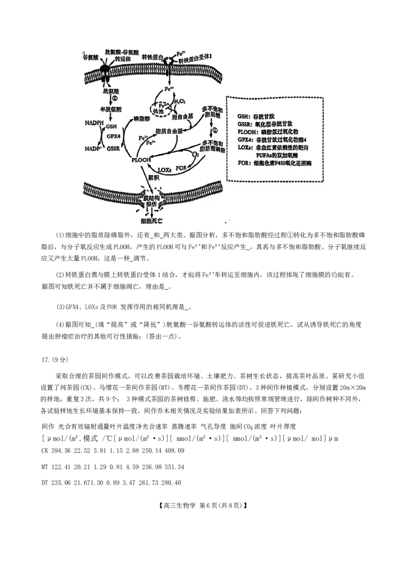 安徽省鼎尖联盟2024-2025学年高三上学期期中考试生物学试题_A1502026各地模拟卷（超值！）_11月_241114安徽省鼎尖教育联盟2025届高三上学期11月期中联考（全科）