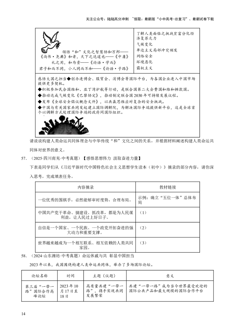 专题21我们共同的世界（原卷版）_02中考总复习（2026版更新中）_07-道法-中考总复习_2026年中考复习（更新中）_好题汇编三年（2023-2025）中考道德与法治真题分类汇编（全国通用）