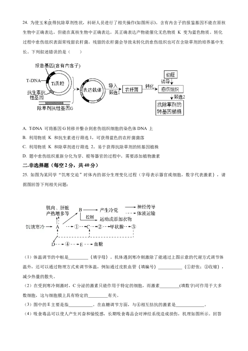 安徽省芜湖市镜湖区安徽师范大学附属中学2023-2024学年高二下学期6月测试生物试题（含答案）_A1502026各地模拟卷（超值！）_6月_2406282024安徽师范大学附属中学高二下学期6月测试