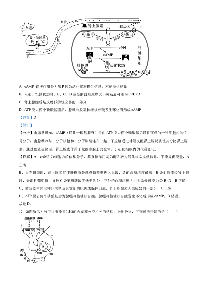 安徽省芜湖市镜湖区安徽师范大学附属中学2023-2024学年高二下学期6月测试生物试题（含答案）_A1502026各地模拟卷（超值！）_6月_2406282024安徽师范大学附属中学高二下学期6月测试