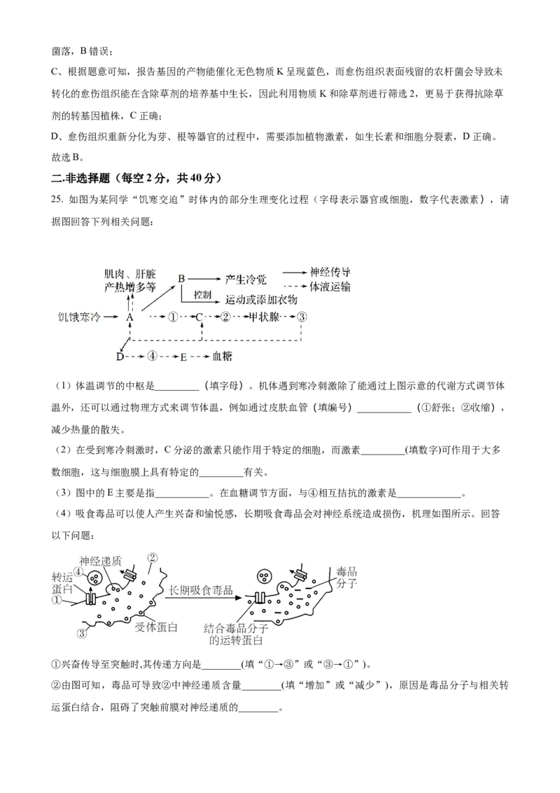 安徽省芜湖市镜湖区安徽师范大学附属中学2023-2024学年高二下学期6月测试生物试题（含答案）_A1502026各地模拟卷（超值！）_6月_2406282024安徽师范大学附属中学高二下学期6月测试