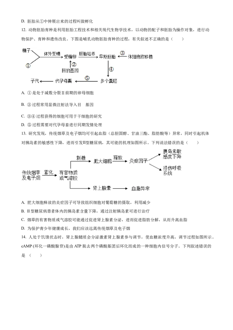 安徽省芜湖市镜湖区安徽师范大学附属中学2023-2024学年高二下学期6月测试生物试题（含答案）_A1502026各地模拟卷（超值！）_6月_2406282024安徽师范大学附属中学高二下学期6月测试