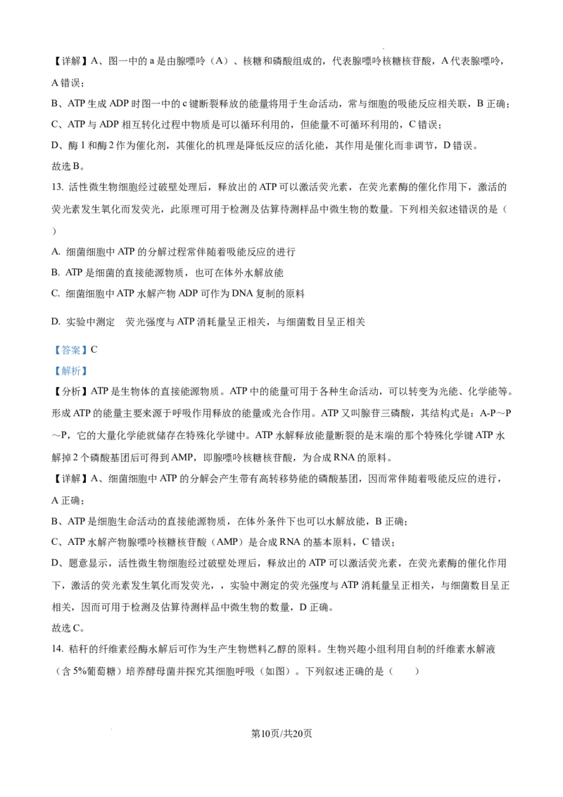 2025届银川一中高三第二次月考生物试卷答案_A1502026各地模拟卷（超值！）_10月_241003宁夏回族自治区银川一中2024-2025学年高三上学期第二次月考