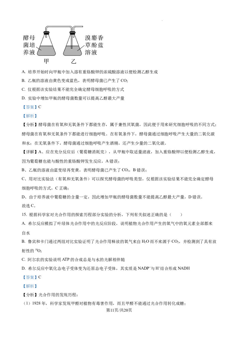 2025届银川一中高三第二次月考生物试卷答案_A1502026各地模拟卷（超值！）_10月_241003宁夏回族自治区银川一中2024-2025学年高三上学期第二次月考